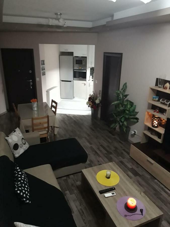 Full Comfort Apartment In Athens City Zewnętrze zdjęcie